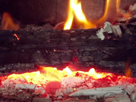 Eden Orchard & Farmstay - New South Wales Tourism  3