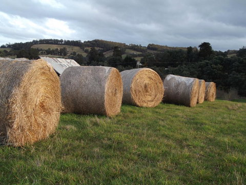 Eden Orchard & Farmstay - New South Wales Tourism  35