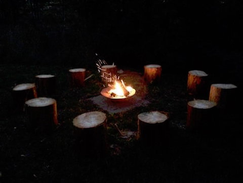 Eden Orchard & Farmstay - New South Wales Tourism  12