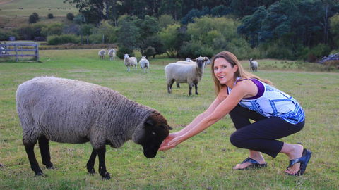 Ashdowns Of Dover - New South Wales Tourism  26