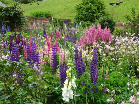 Old WesleyDale Heritage Accommodation - New South Wales Tourism  1