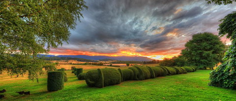 Old WesleyDale Heritage Accommodation - New South Wales Tourism  13