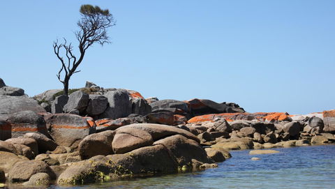 BAY OF FIRES SEACHANGE Ocean Frontage - New South Wales Tourism  21