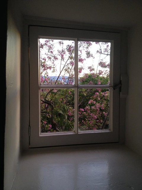 Blue Magnolia - New South Wales Tourism  36