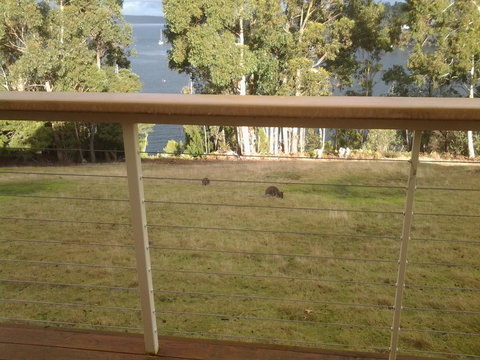 Marinavisage - New South Wales Tourism  20