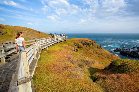 BIG4 Ingenia Holidays Phillip Island - New South Wales Tourism  19