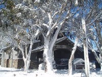 Book Dinner Plain Accommodation Vacations New South Wales Tourism New South Wales Tourism 