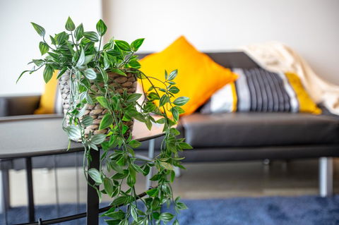 Brand New One/Two - Bed Room Apartment @ Maribyrnong - New South Wales Tourism  0