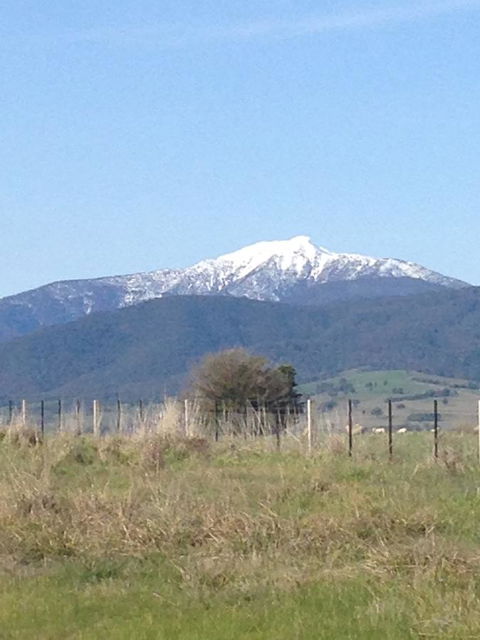 High Country Holiday Park - New South Wales Tourism  34