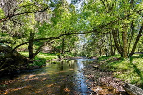 Avalon House - New South Wales Tourism  7