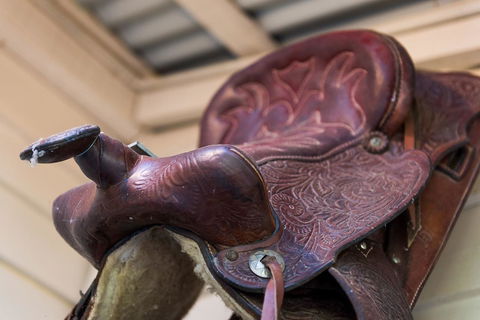 Avalon House - New South Wales Tourism  20