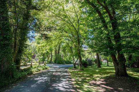 Avalon House - New South Wales Tourism  23