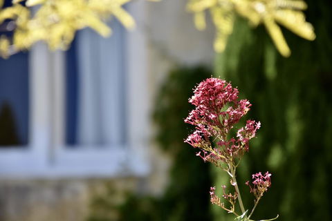 Villa Mallorca - New South Wales Tourism  28