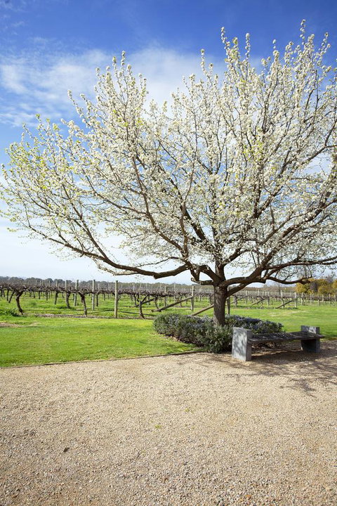 Lancemore Milawa - New South Wales Tourism  12