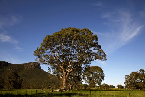 Dunkeld Studio Accommodation - New South Wales Tourism  23