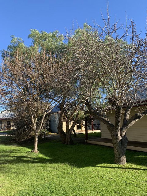 Dunkeld Studio Accommodation - New South Wales Tourism  4