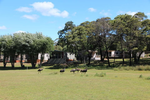 Halls Gap Lakeside Tourist Park - New South Wales Tourism  1