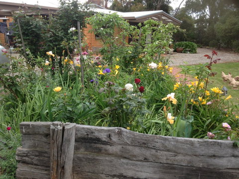 Mud Hollow Barn - New South Wales Tourism  12