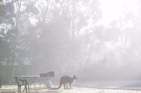 Gariwerd Motel - New South Wales Tourism  18