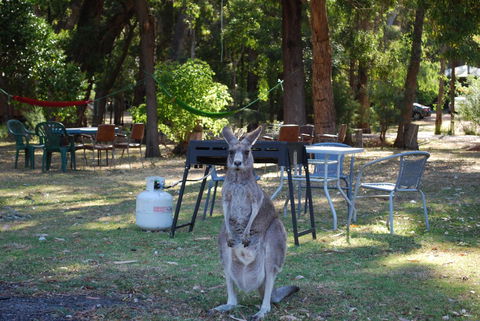 Gariwerd Motel - New South Wales Tourism  26