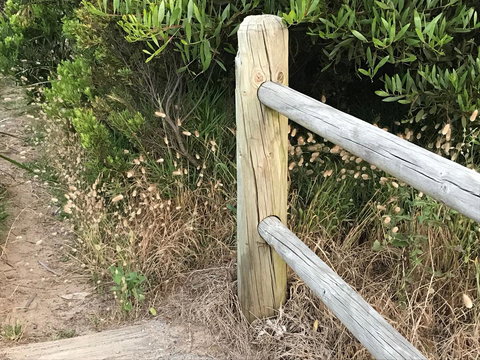 The International Motel Apollo Bay - New South Wales Tourism  36