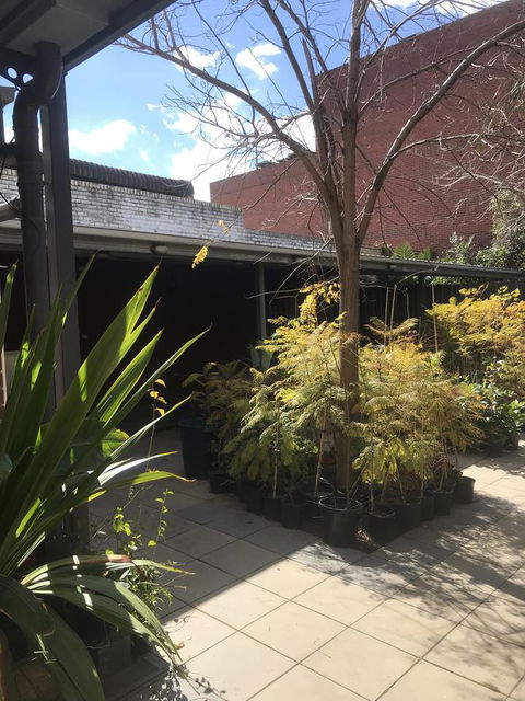 CROWN CENTRAL BUSINESS DISTRICT MOTEL - NO UNDER 18s - New South Wales Tourism  21