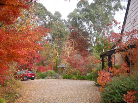 Merrimeet Cottages - New South Wales Tourism  5