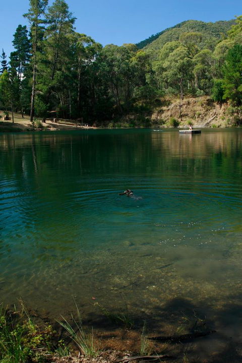 The Harrietville Snowline Hotel - New South Wales Tourism  38