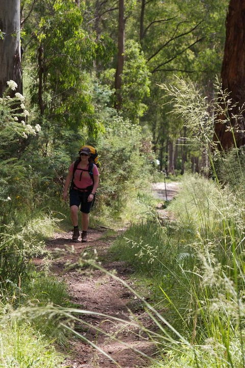The Harrietville Snowline Hotel - New South Wales Tourism  11
