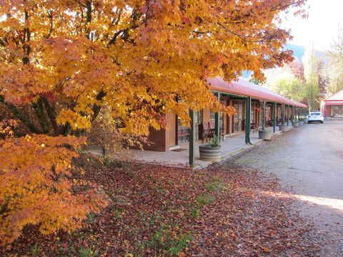 The Harrietville Snowline Hotel - New South Wales Tourism  21
