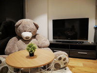 UrbanSuite The Wild Rosa Inn