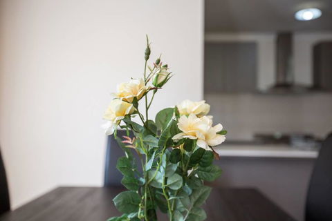 Holiday Rose - New South Wales Tourism  8