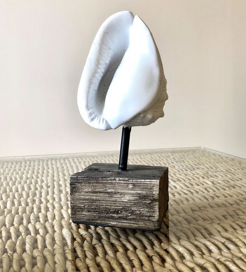 Sea Shells On Banyan Apartment - New South Wales Tourism  9