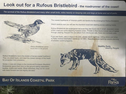 Sunsets On Martyrs Luxury Coastal Beach House Peterborough - New South Wales Tourism  40