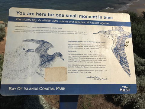 Sunsets On Martyrs Luxury Coastal Beach House Peterborough - New South Wales Tourism  39