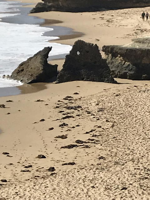 Sunsets On Martyrs Luxury Coastal Beach House Peterborough - New South Wales Tourism  41