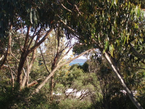 Aloha Ha Phillip Island - New South Wales Tourism  24