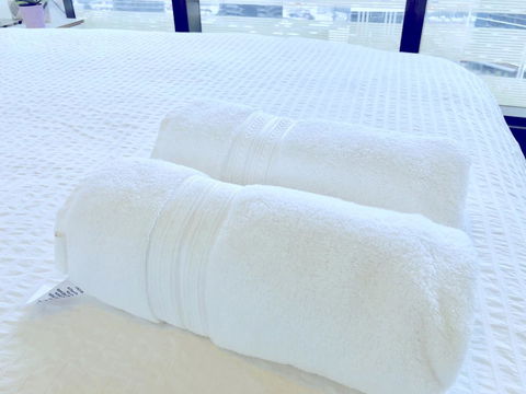 Brilliant Victoria Harbour Waterfront - New South Wales Tourism  15