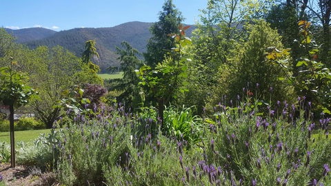 Abbys Cottages Bright - New South Wales Tourism  33