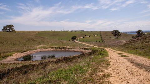 Tintagel - New South Wales Tourism  31