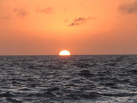 Beautiful, Cosy And Quiet - New South Wales Tourism  27