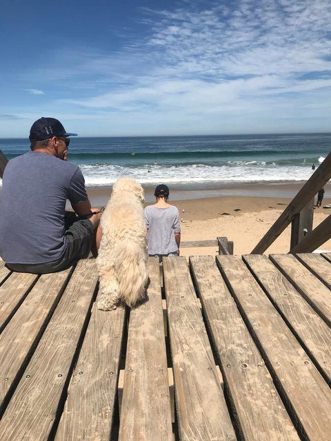 Beautiful, Cosy And Quiet - New South Wales Tourism  37