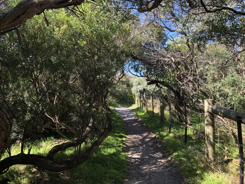 Beautiful, Cosy And Quiet - New South Wales Tourism  20