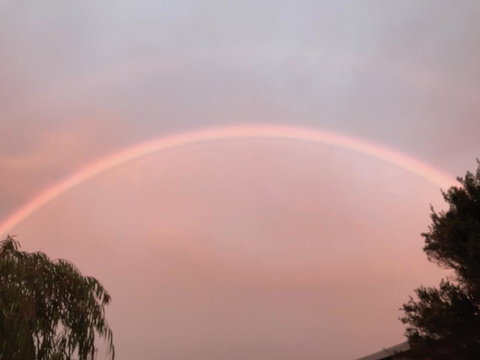 Beautiful, Cosy And Quiet - New South Wales Tourism  35