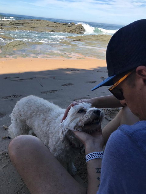 Beautiful, Cosy And Quiet - New South Wales Tourism  34