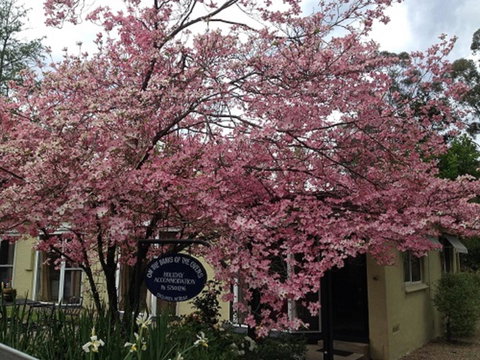 On The Banks - New South Wales Tourism  23