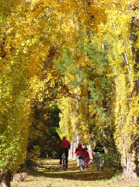 On The Banks - New South Wales Tourism  15