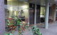 The Olive Tree Motel - thumb 8