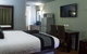 The Olive Tree Motel - thumb 4