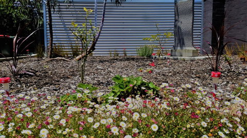 The Olive Tree Motel - New South Wales Tourism  16